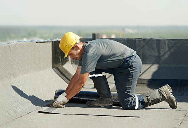 Best Insulation Replacement Services  in Indian Rocks Beach, FL